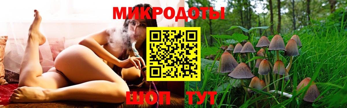 Псилоцибиновые грибы Psilocybine cubensis Удомля