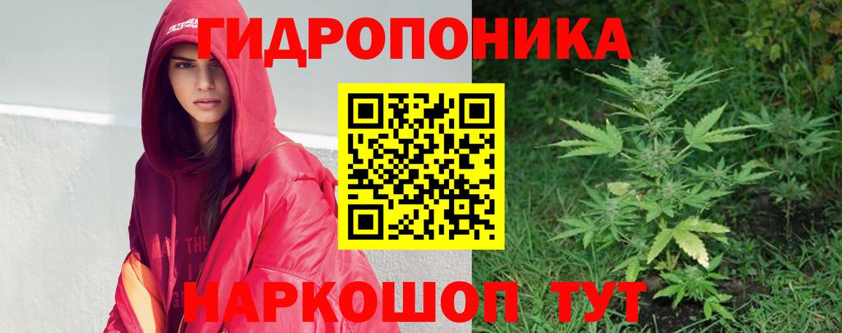 Каннабис план  Марихуана тримм  Удомля  Вход с VPN  Бошки марихуана AK-47 